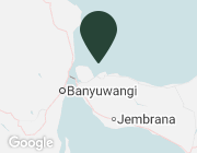 The Menjangan